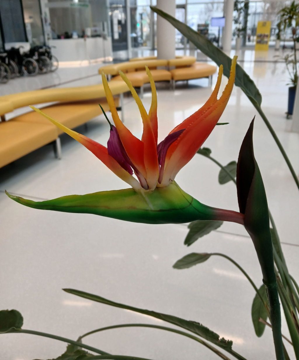 Violence is a&nbsp;Decision